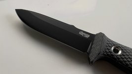 IMG_0877.jpg