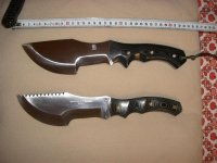 CIMG1526 (Medium).JPG