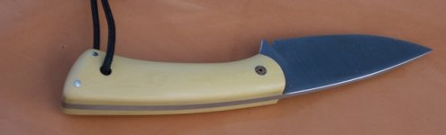 CIMG2487.JPG