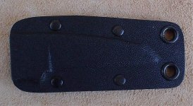 dogfish01.jpg