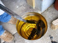 IMG_1851.jpg