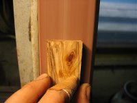 IMG_1799.jpg
