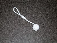 P6100005.jpg