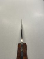 IMG_3520.jpeg