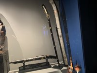 IMG_2446.JPEG