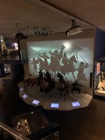 IMG_2458.JPEG