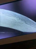 IMG_2460.JPEG