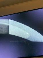 IMG_2461.JPEG