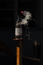 DSC_0755.JPG