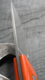Neu IMG_3204.JPG