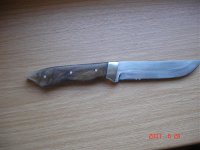 DSC00383.jpg