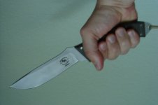 805_schwertgrif_f.JPG