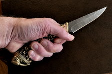 walroßhirsch4.jpg