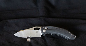 MK044280.jpg