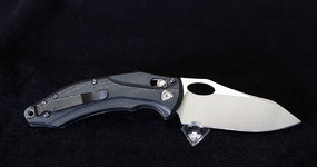 MK044459.jpg