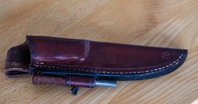MK044561.jpg