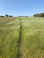IMG_3404.jpeg