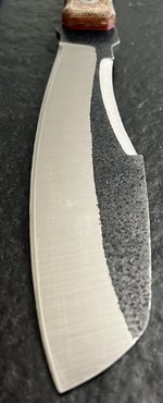 IMG_2675.jpeg