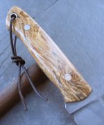 Neu IMG_3778.JPG
