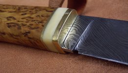 birke51.jpg