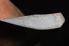 DSC_0925.jpg