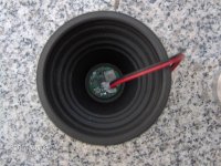 Resize of IM000453.JPG