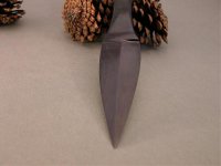 DSCN0870.jpg