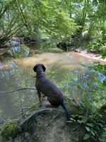 IMG_3599.jpeg