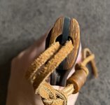 IMG_3647.jpeg