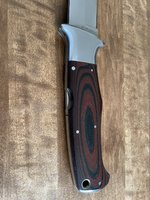 IMG_5380.jpeg