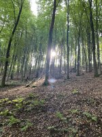 IMG_4584.jpeg