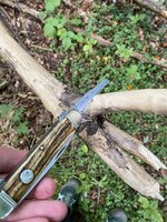 IMG_4583.jpeg