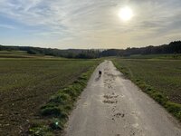 IMG_4718.jpeg