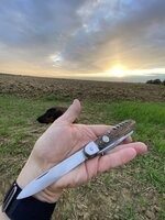 IMG_4771.jpeg