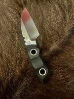 IMG_0631.jpeg