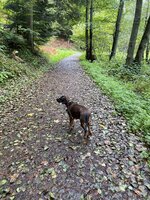IMG_4853.jpeg