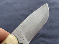 IMG_5396.JPG