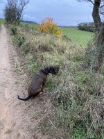 IMG_4998.jpeg