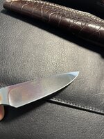 IMG_5088.jpeg