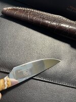 IMG_5089.jpeg