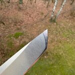 IMG_1264.jpeg