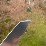 IMG_1265.jpeg