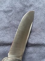 IMG_5665.jpeg