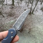 IMG_1526.jpeg
