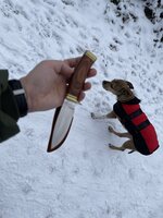 IMG_7518.jpeg