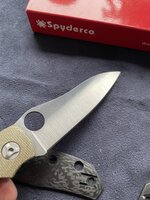 IMG_5693.jpeg