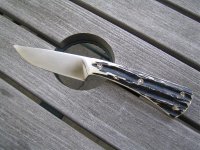 RWL-Knochen.jpg