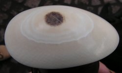 biggame 052_1.jpg