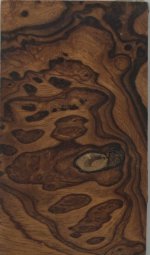 ironwoodvk 001 Mittlere Webansicht.jpg