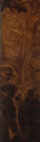 ironwoodvk 004 Mittlere Webansicht.jpg